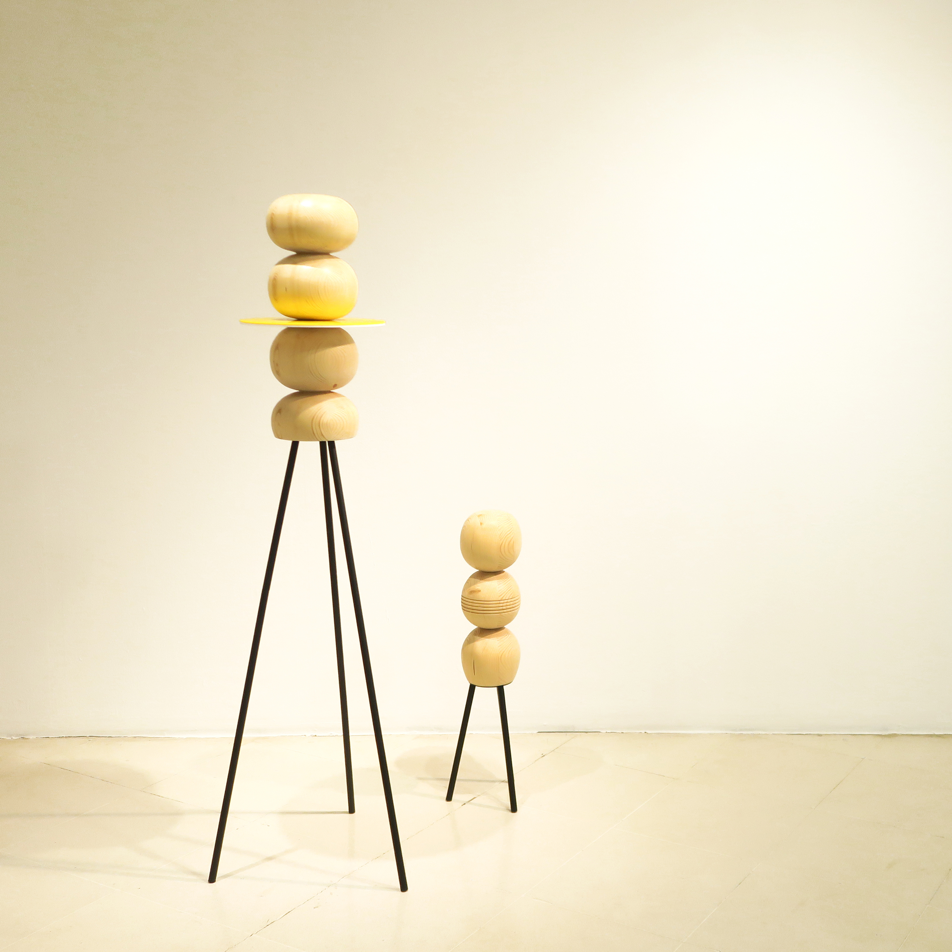 Modulon #00 y #01